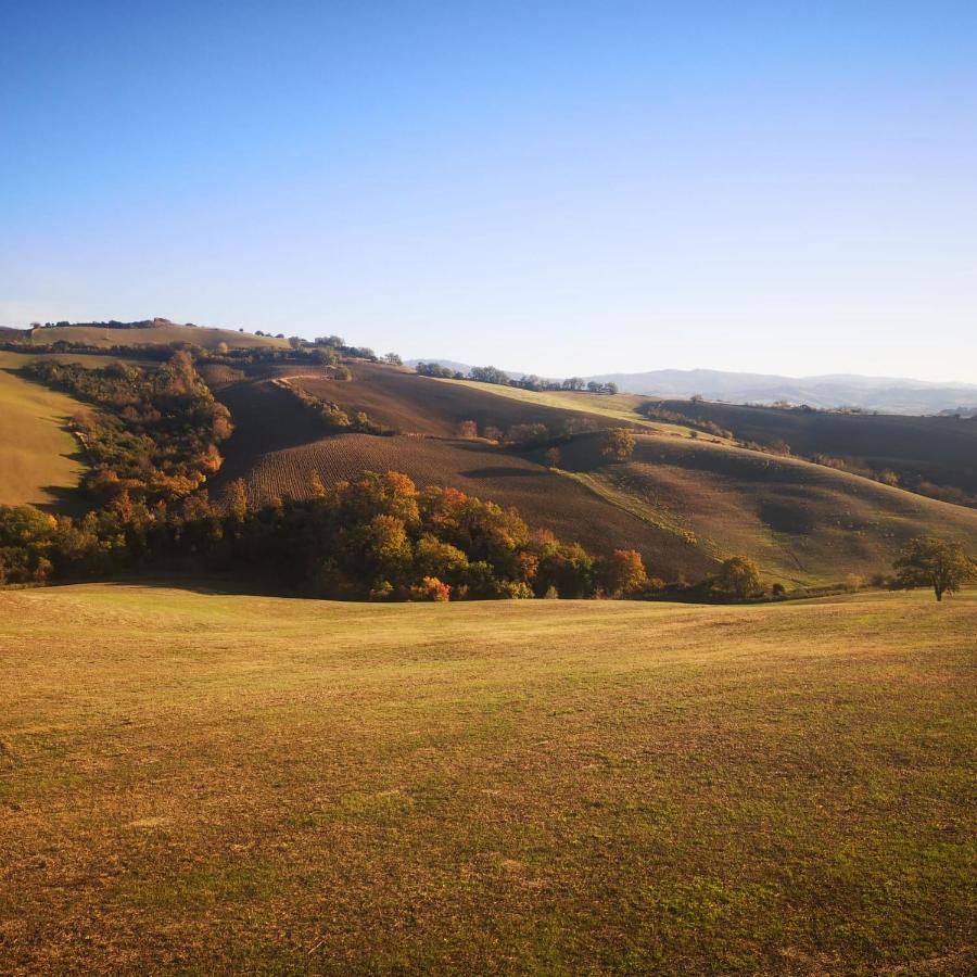 Glamping Le Dune Cinigiano Exterior foto